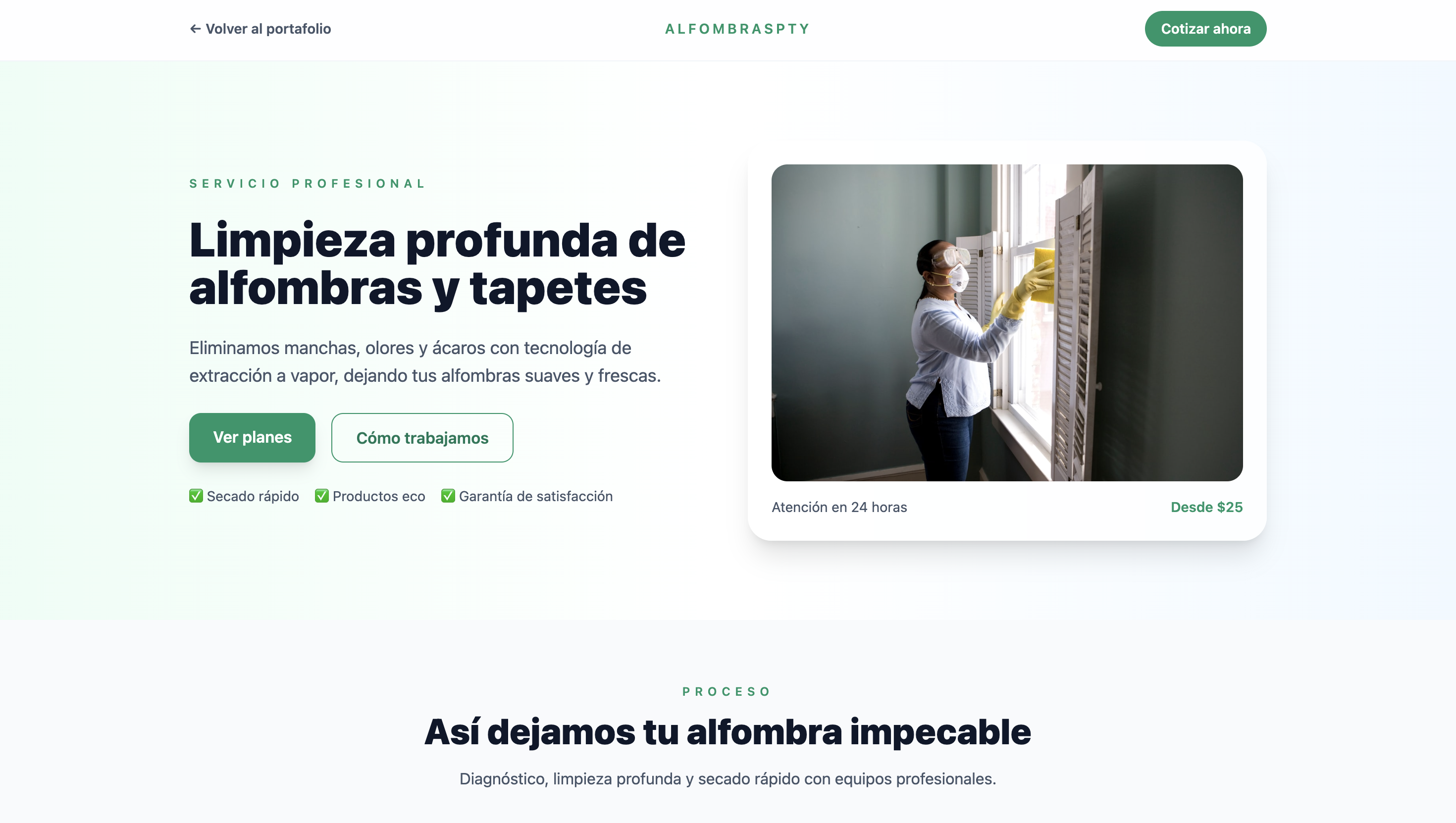 Limpieza de alfombras