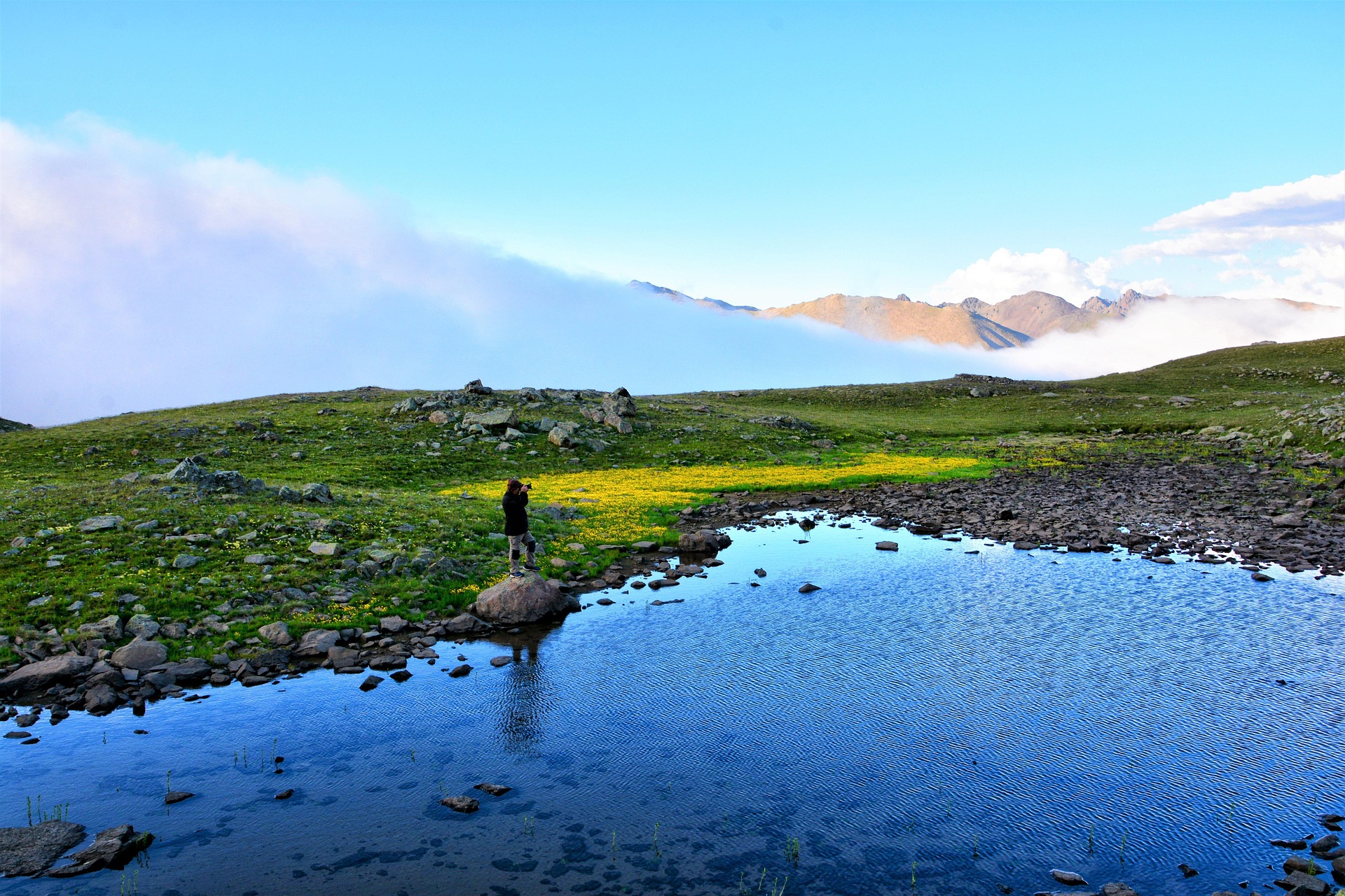 Paisaje natural