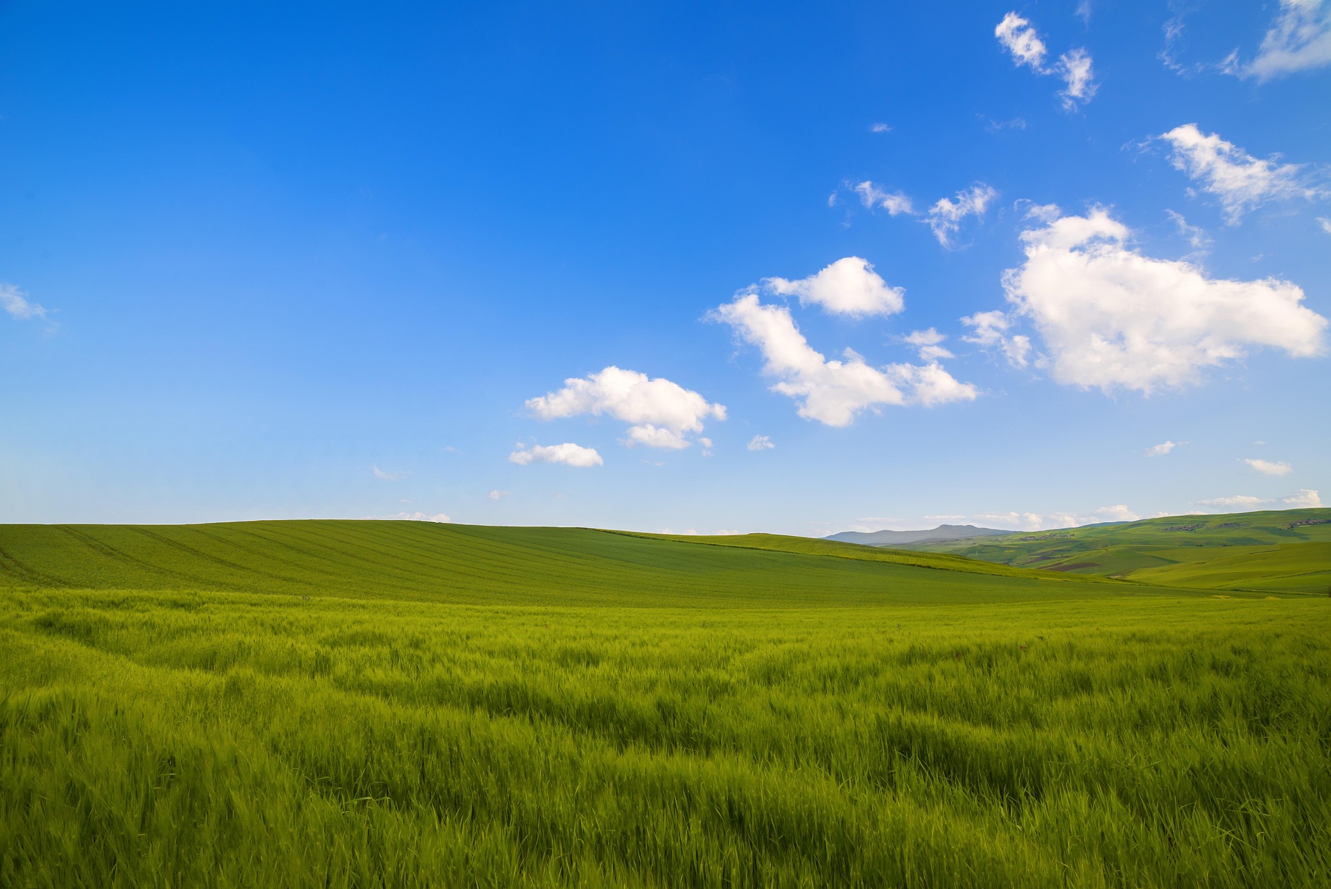 Paisaje natural
